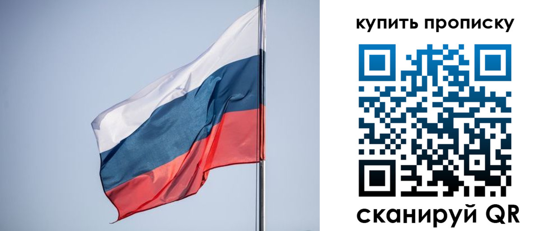 где прописаться в Павловском Посаде